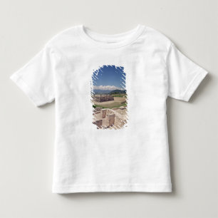 Pyramid of the Feathered Serpent Toddler T-Shirt