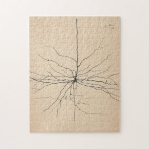 Pyramida Neuron Drawing By Santiago Ramón Y Cajal Jigsaw Puzzle