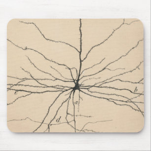 Pyramida Neuron Drawing By Santiago Ramón Y Cajal Mouse Mat