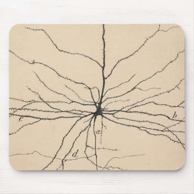 Pyramida Neuron Drawing By Santiago Ramón Y Cajal Mouse Mat (Front)