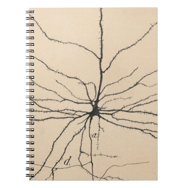 Pyramida Neuron Drawing By Santiago Ramón Y Cajal Notebook (Front)