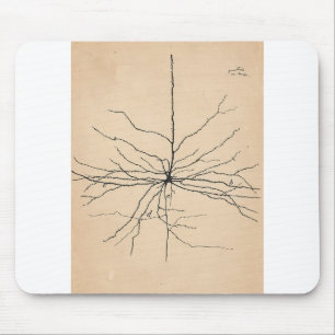 Pyramida Neuron Drawing Santiago Ramon y Cajal Mouse Mat