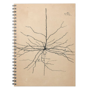 Pyramida Neuron Drawing Santiago Ramon y Cajal Notebook