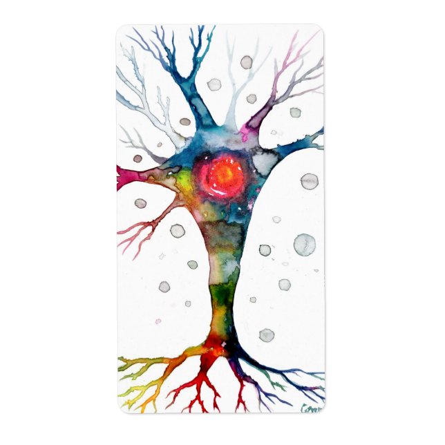 Pyramidal neuron in the neocortex (Front)