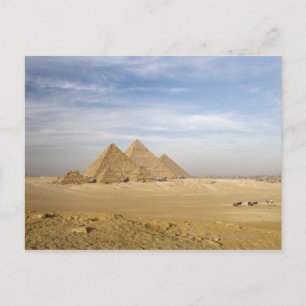 Pyramids Cairo, Egypt Postcard