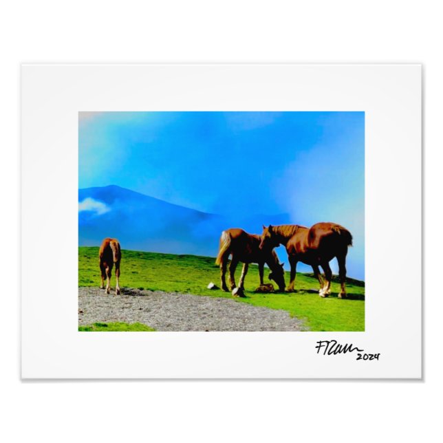 Pyrenean Horses. Photo Print (Front)