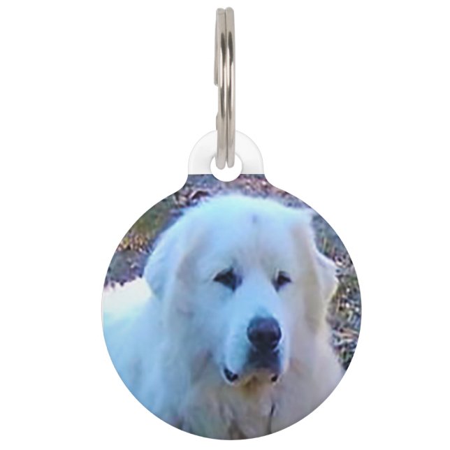 Pyrenean Mountain Dog. Pet Tag (Front)