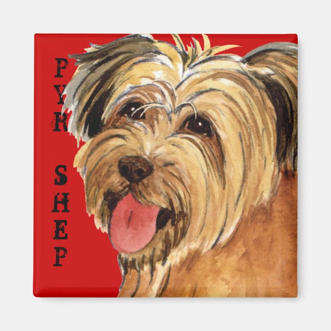 Pyrenean Shepherd Colour Block Magnet (Front)