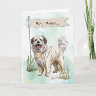 Pyrenean Shepherd Dog Breed Under Birthday Sign Card