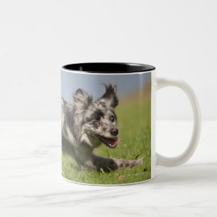 Pyrenean Shepherd goes round the pole Two-Tone Coffee Mug