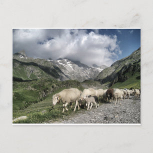 pyrenees landscape postcard