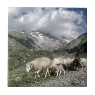 pyrenees landscape tile