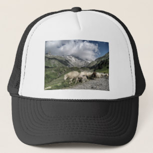 pyrenees landscape trucker hat