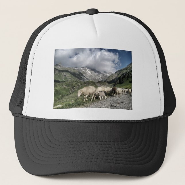 pyrenees landscape trucker hat (Front)