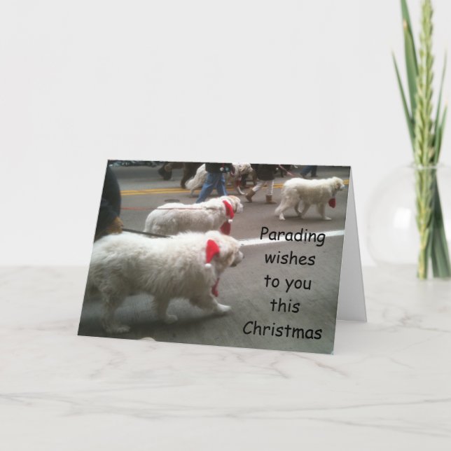 PYRENEES ON PARADE CHRISTMAS CARD (Front)