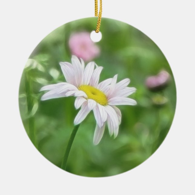 Pyrethrum Daisies -  Tanacetum coccineum Ceramic Tree Decoration (Front)
