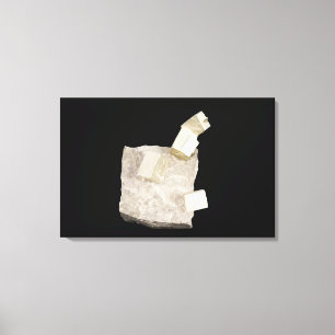 Pyrite Crystals in Shale Canvas Print