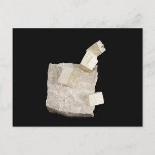 Pyrite Crystals in Shale Postcard
