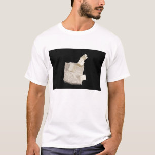 Pyrite Crystals in Shale T-Shirt