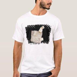 Pyrite Crystals in Shale T-Shirt