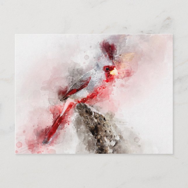Pyrrhuloxia watercolor holiday postcard (Front)