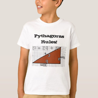 PYTHAGORAS RULES! T-Shirt