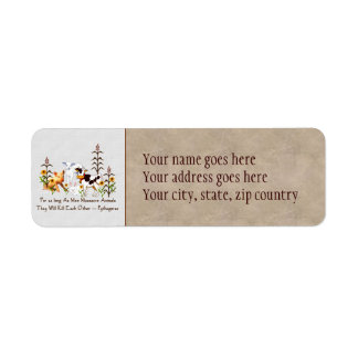 Pythagoras Vegetarian quote