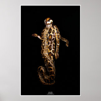 Python by Johannes Stötter Poster