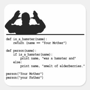 Python Code-Your mother was a hamster Square Sticker