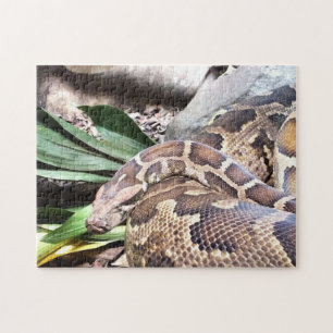 Python Jigsaw Puzzle