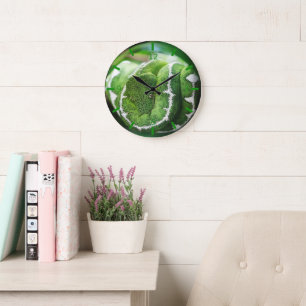 Python Large Clock