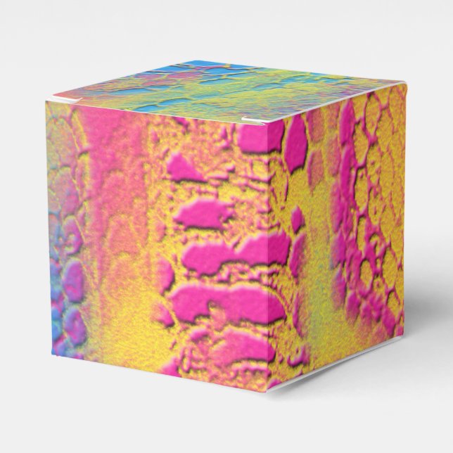 PYTHON - modern decorative fractal - Favour Box (Front Side)