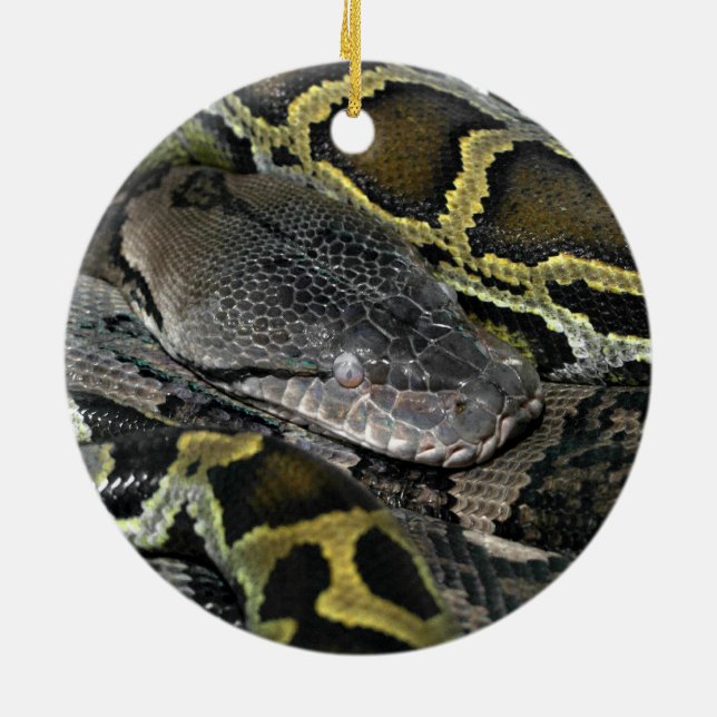 Python molurus bivittatus ceramic tree decoration (Back)