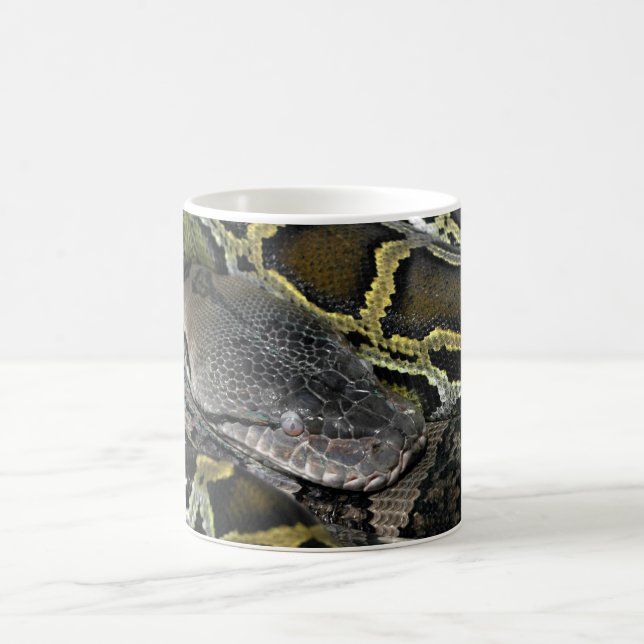 Python molurus bivittatus coffee mug (Center)