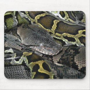 Python molurus bivittatus mouse mat