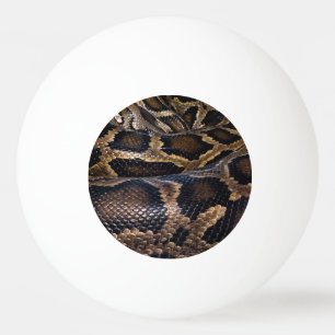 Python Ping Pong Ball