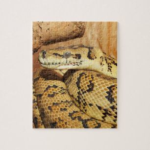 Python snake jigsaw puzzle