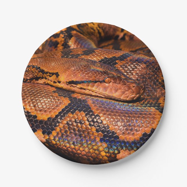 Python Snake Paper Plate (Front)