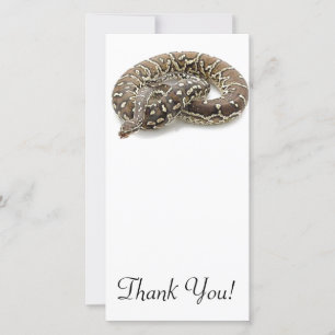 Python Snake Reptile Thank You Card