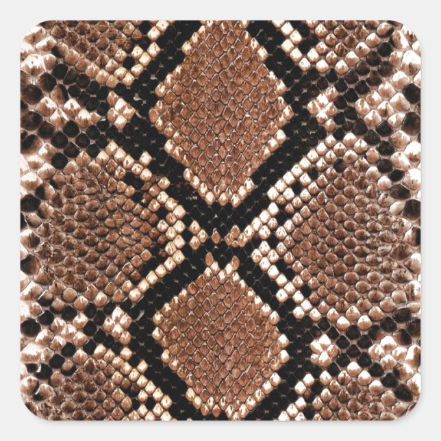 Python Snake Skin Print Square Sticker (Front)