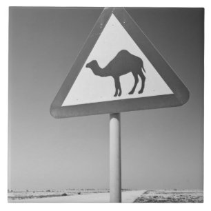 Qatar, Al Zubarah. Camel Crossing Sign-Road to Tile