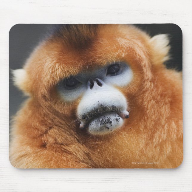 Qinling Mountains Mouse Mat (Front)