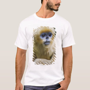 Qinling Mountains, Oct 2006 T-Shirt