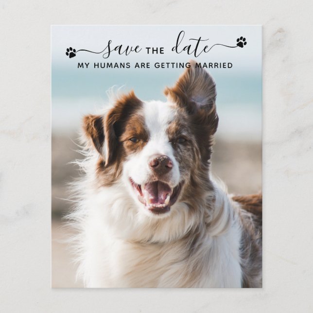 QR Code Dog Wedding Pet Photo Save The Date Cards (Front)