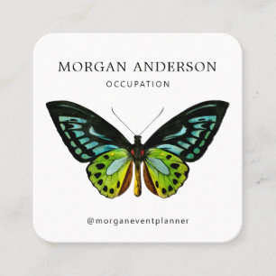 QR Code Minimal Butterfly Square Business Card