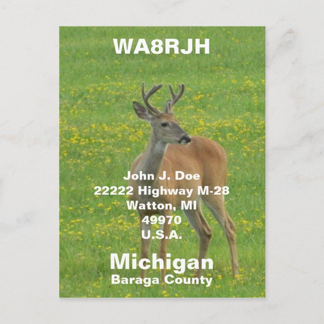 QSL PCs HAM Radio Op spring buck whitetail deer Postcard (Front)