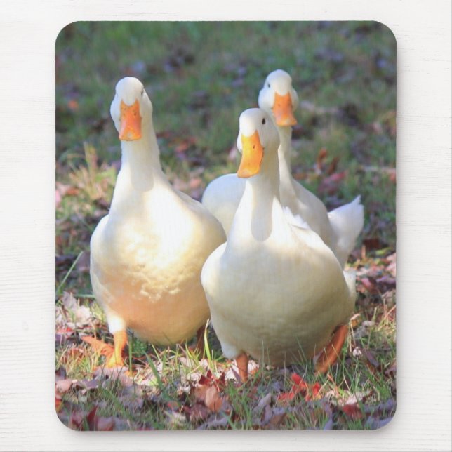 Quack attack mouse mat (Front)