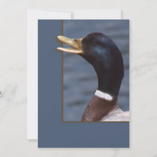 Quack up