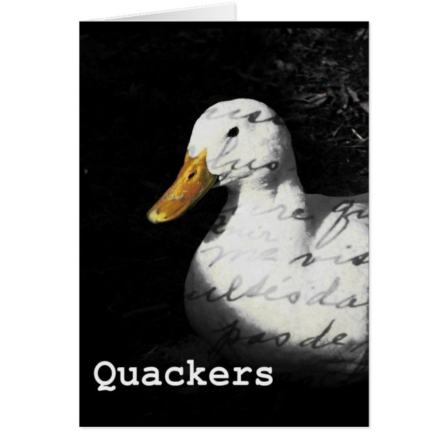 Quackers (Front)
