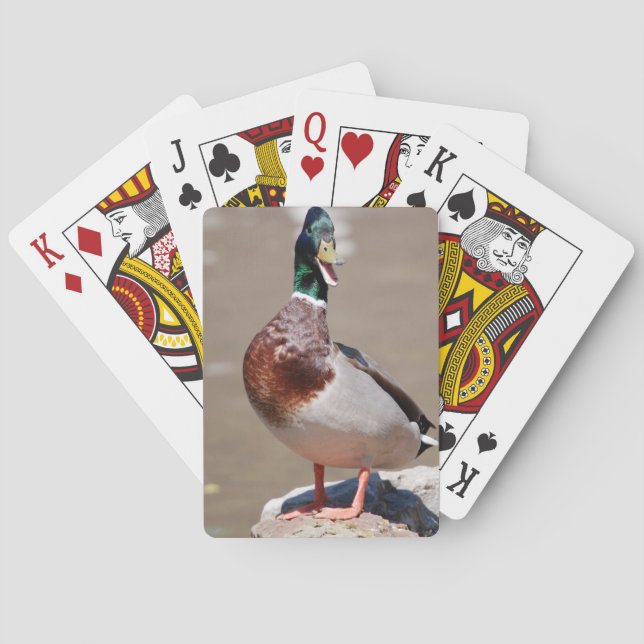 Quacking Mallard Duck Playing Cards (Back)
